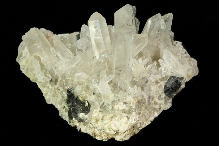 Quartz Crystals with Black Tourmaline (Schorl) - Namibia #69188